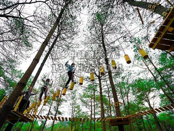 叢林穿越設備的搭建對環(huán)境有影響嗎？